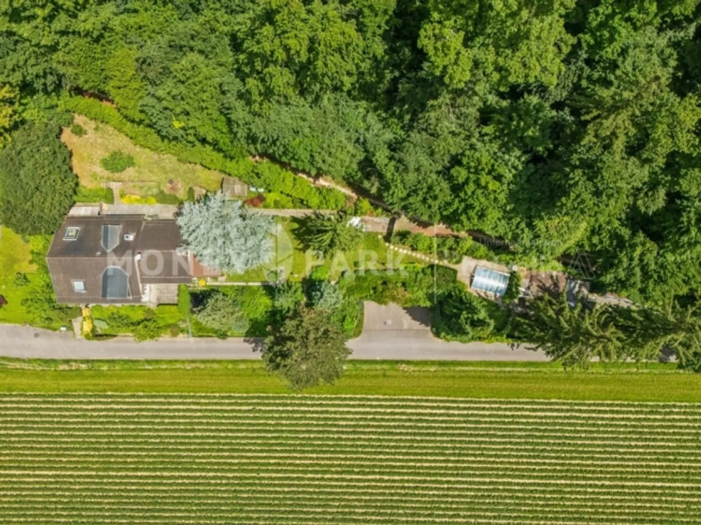 Ampia casa unifamiliare con appartamento indipendente in un ambiente naturale - Foto 13 di 13