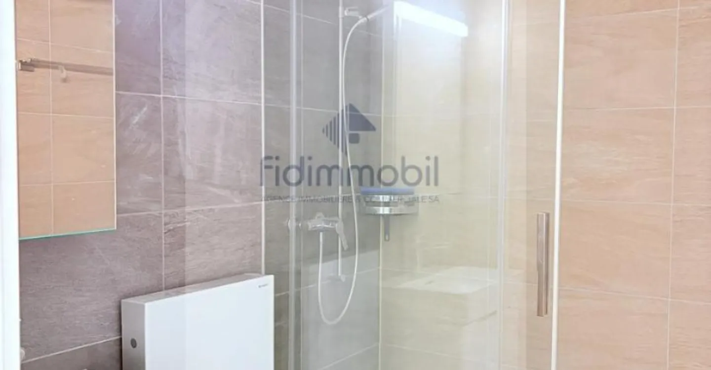 Stunning new loft for rent in Peseux - Photo 4 of 4