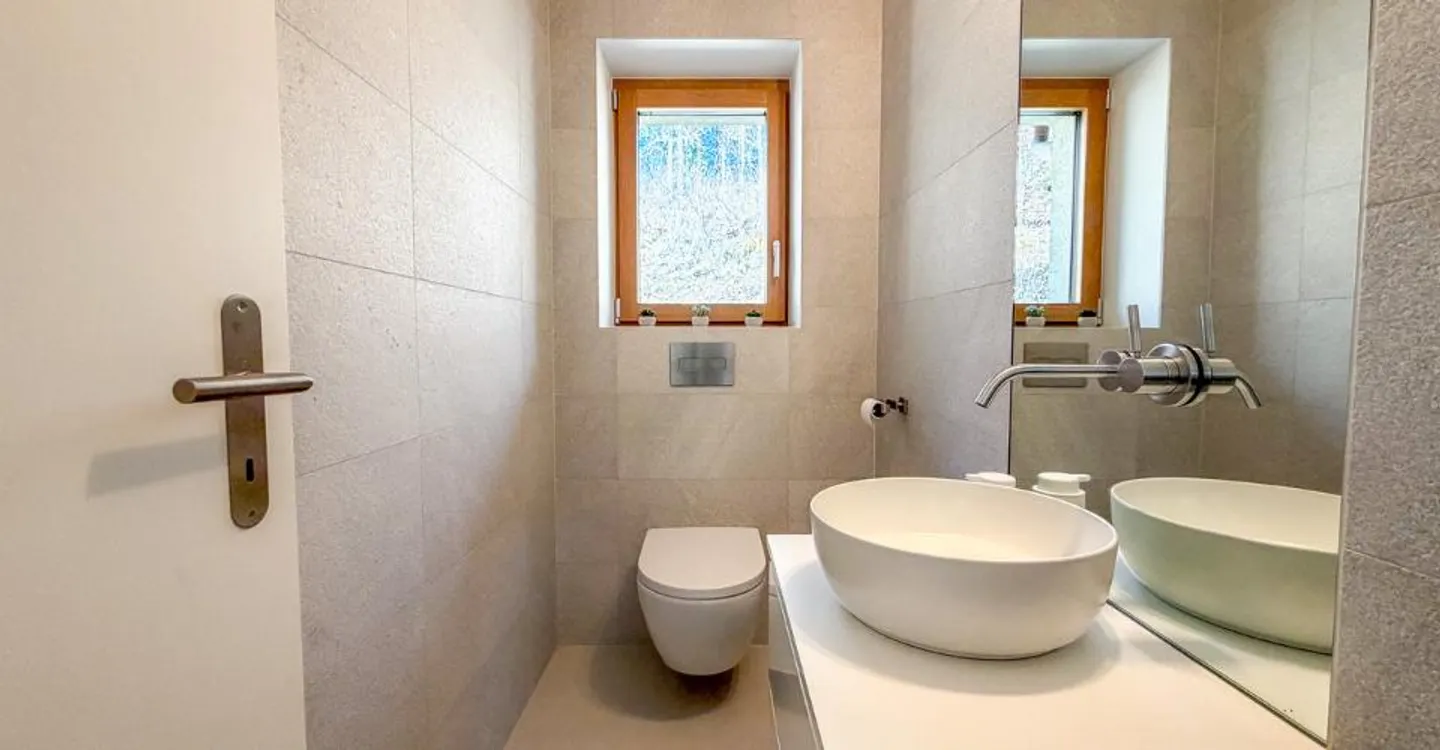Splendide maison rénovée de 2 logements Vue dominante - Photo 11 sur 11