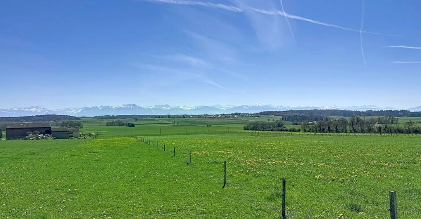 Charmantes Dorfhaus mit Potenzial - Foto 10 von 10