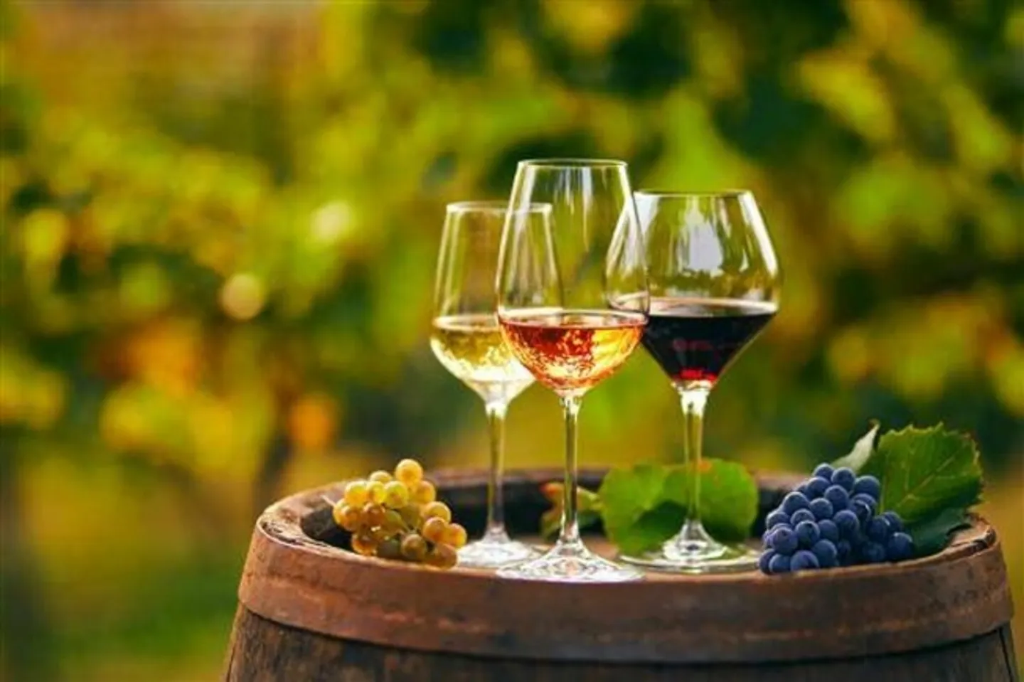 «3-Zimmer-Restaurant 240 m2 in Sitten» - Foto 9 von 19