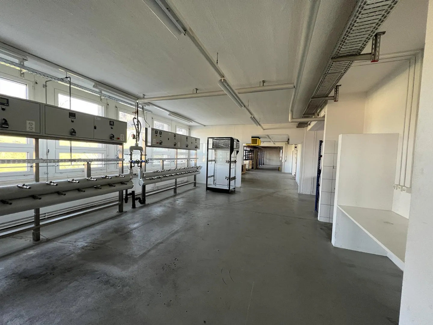 Locaux commerciaux attrayants et lumineux dans un emplacement central à Saint-Gall - Photo 9 sur 16