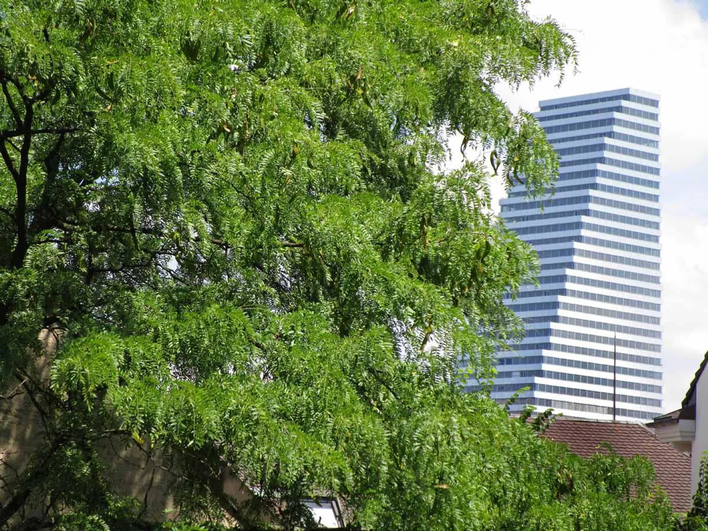 «p next days - top location - Kunstmuseum - Banking Center & parking, 1675 weekly.» - Photo 1 of 5