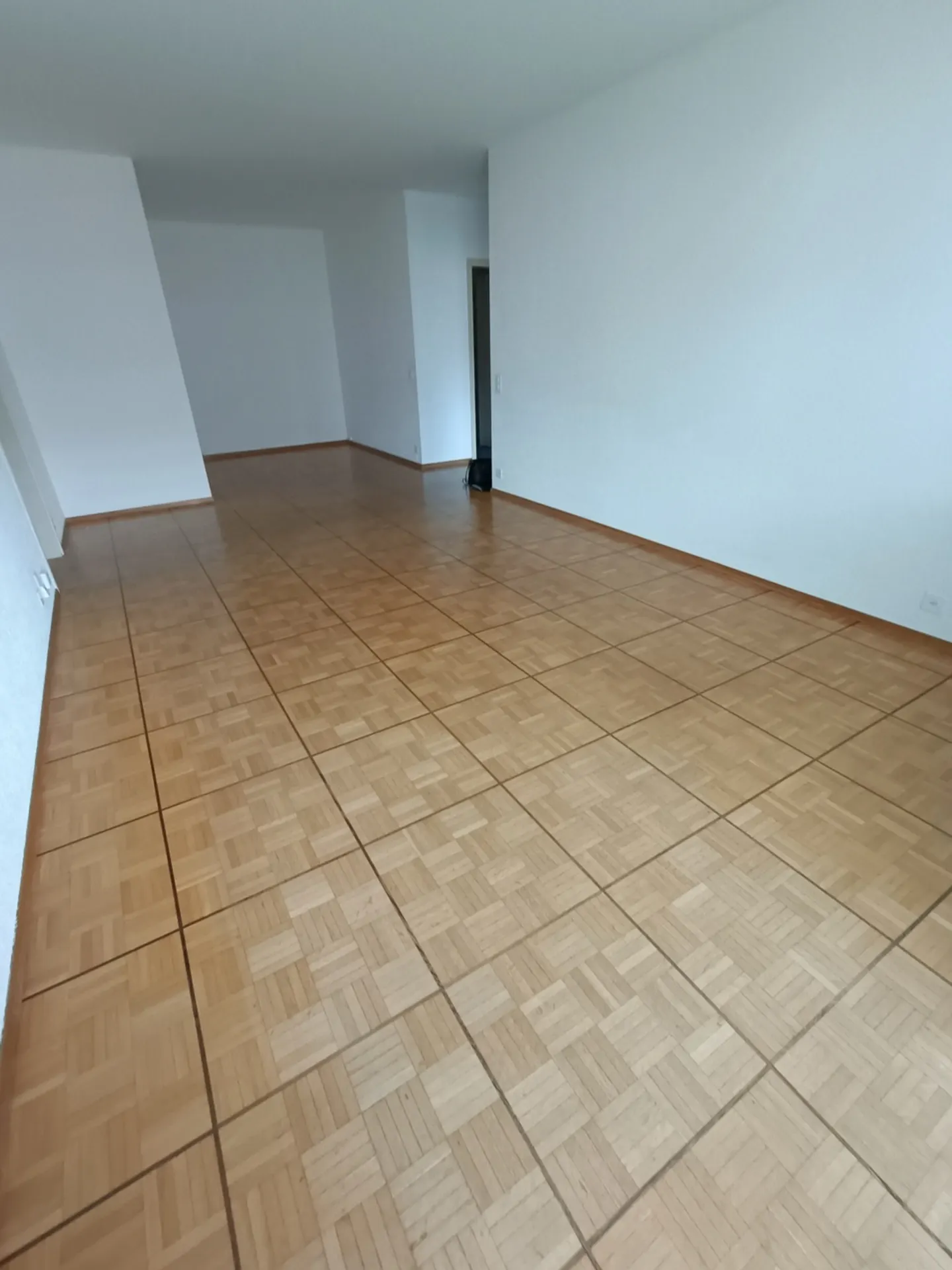 ASCONA, we rent spacious 3 1/2 rooms - Photo 8 of 10