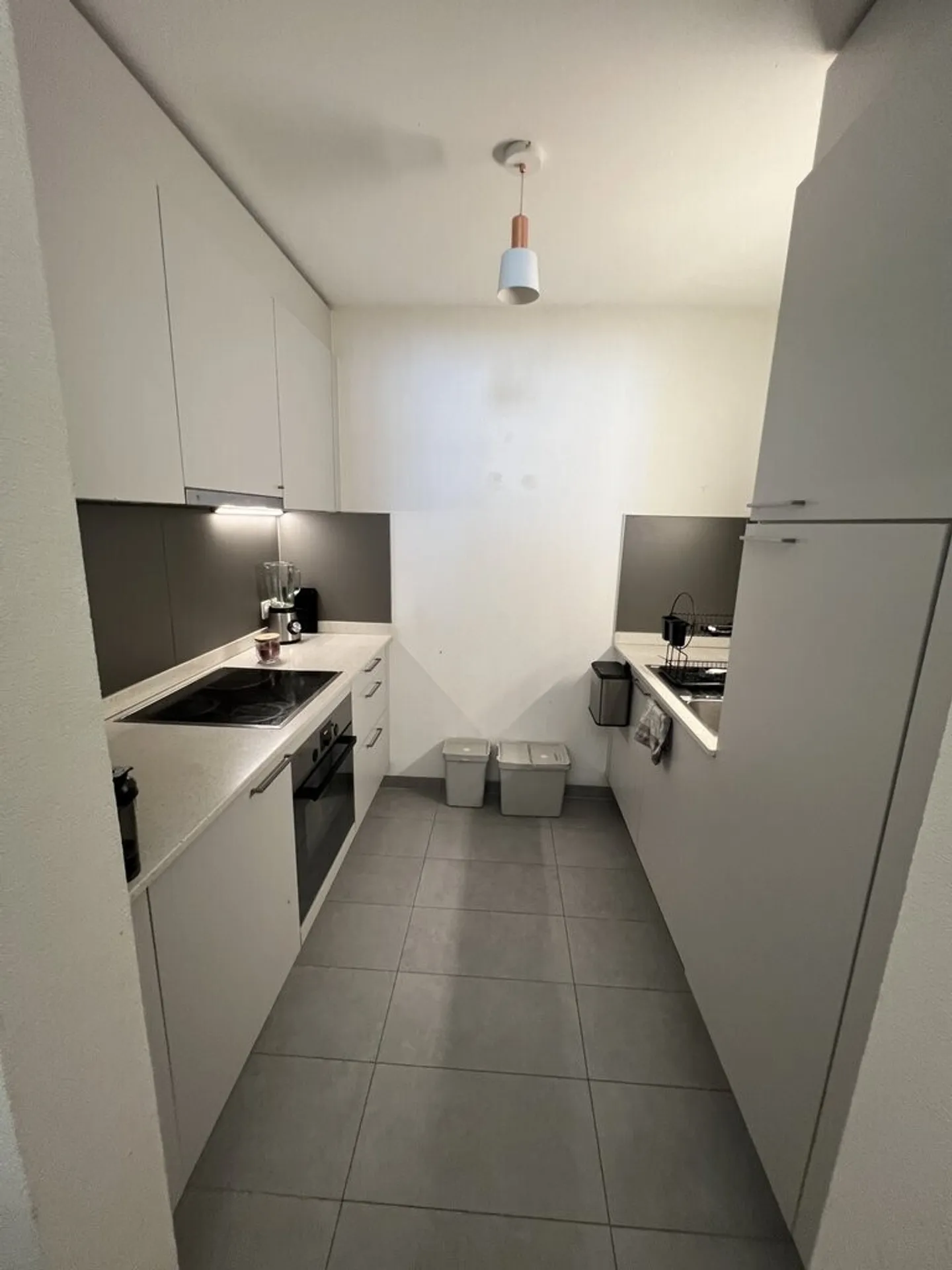 Modern Duplex Apartment in Bussigny - Photo 4 of 9