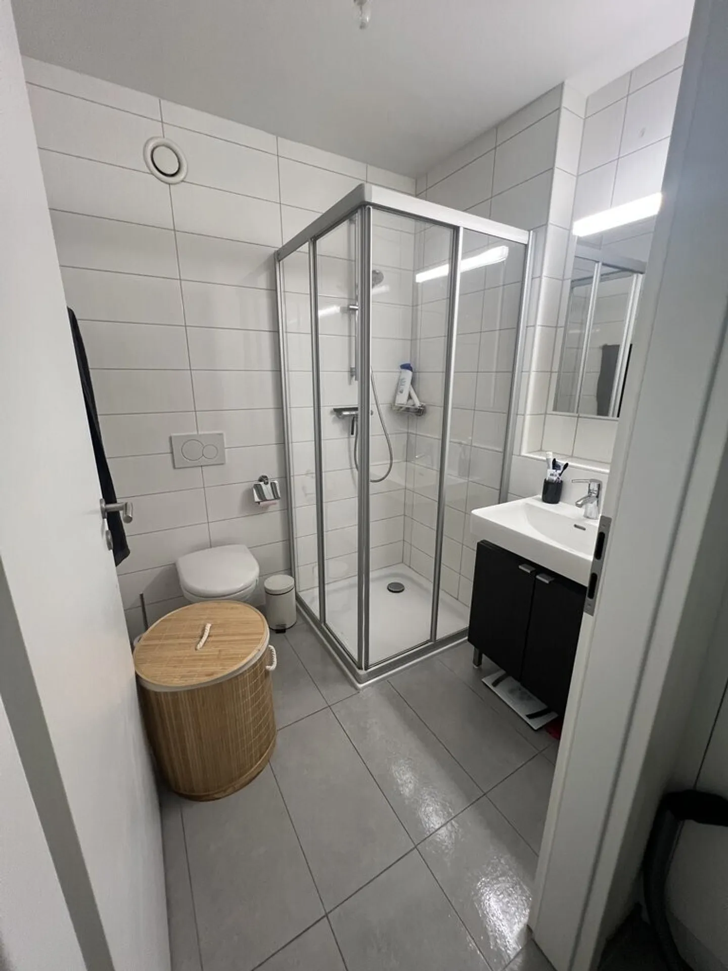 Modern Duplex Apartment in Bussigny - Photo 5 of 9