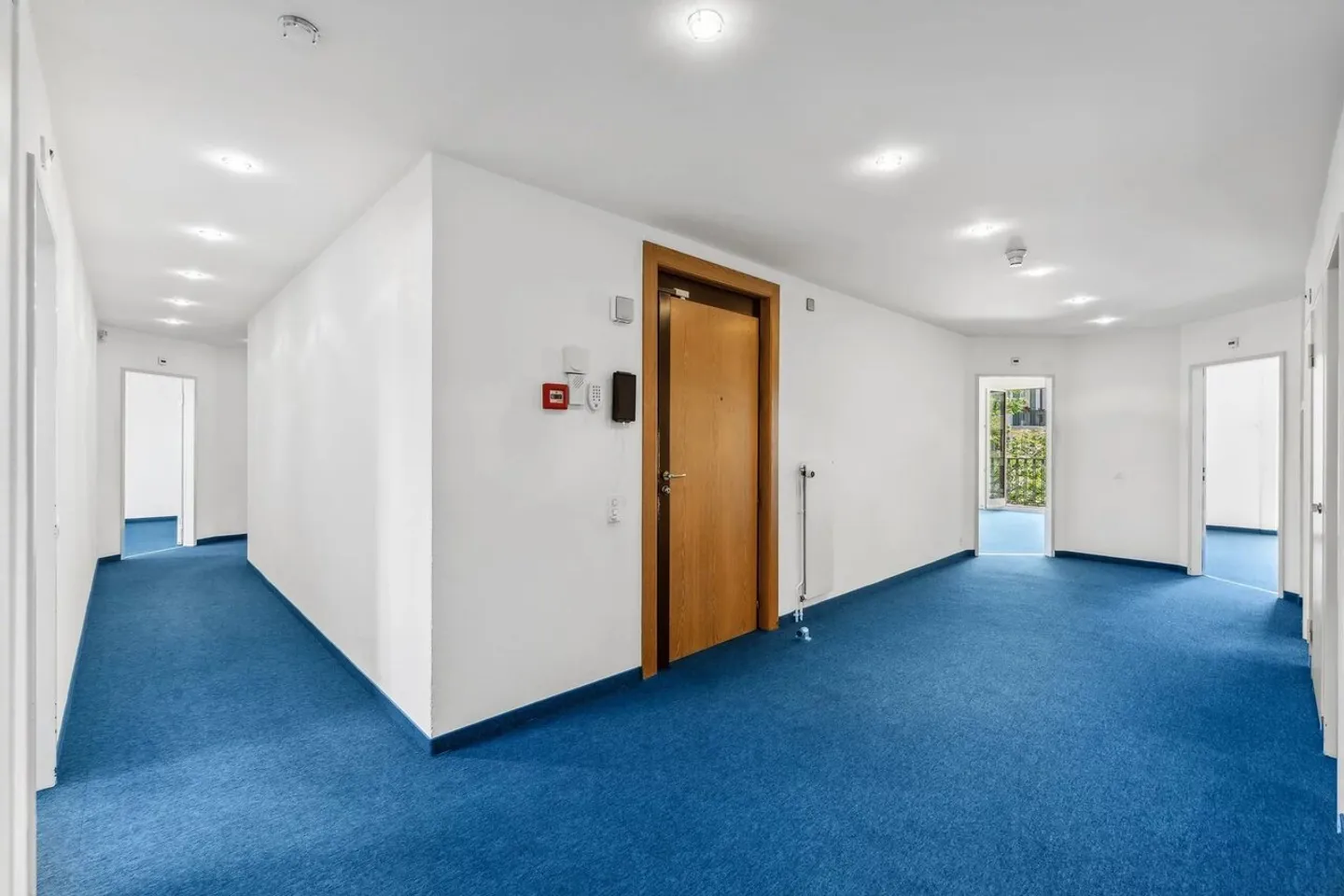 Beautiful spaces for rent in Malagnou - Photo 3 of 13