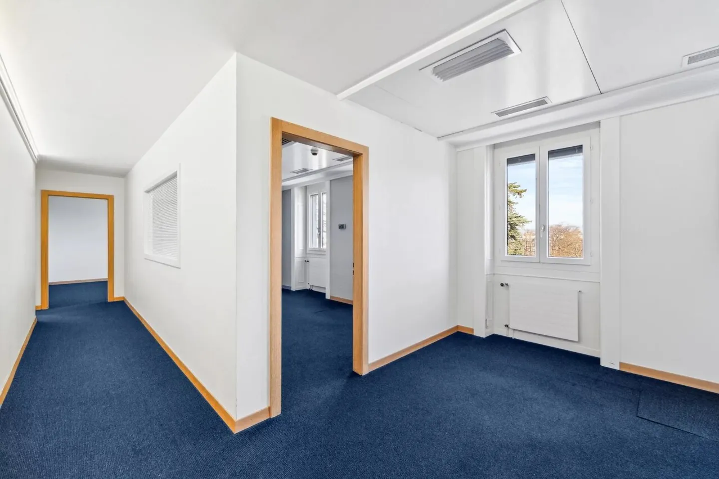 Beautiful spaces for rent in Malagnou - Photo 6 of 13