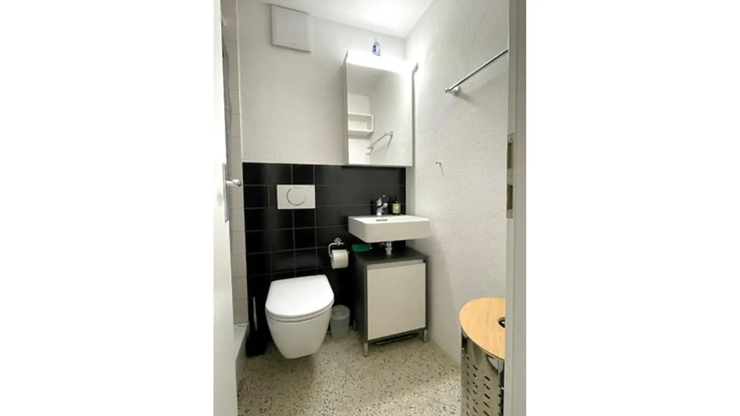 Möblierte Wohnung in Bern - Foto 6 von 7