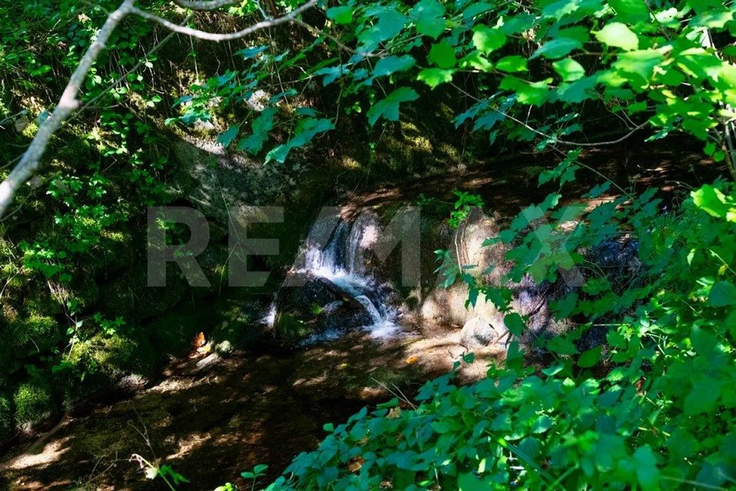 Beaucoup d'espace, de nature et un grand potentiel - Maison individuelle spacieuse - Photo 13 sur 13
