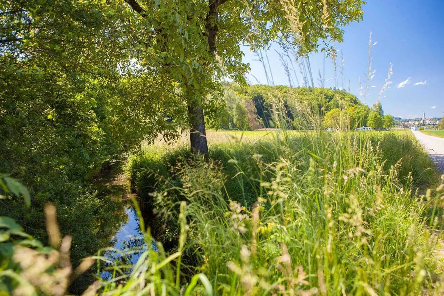 Dorfstrasse 4.5 Garden Apartment Room House B - Photo 8 of 12