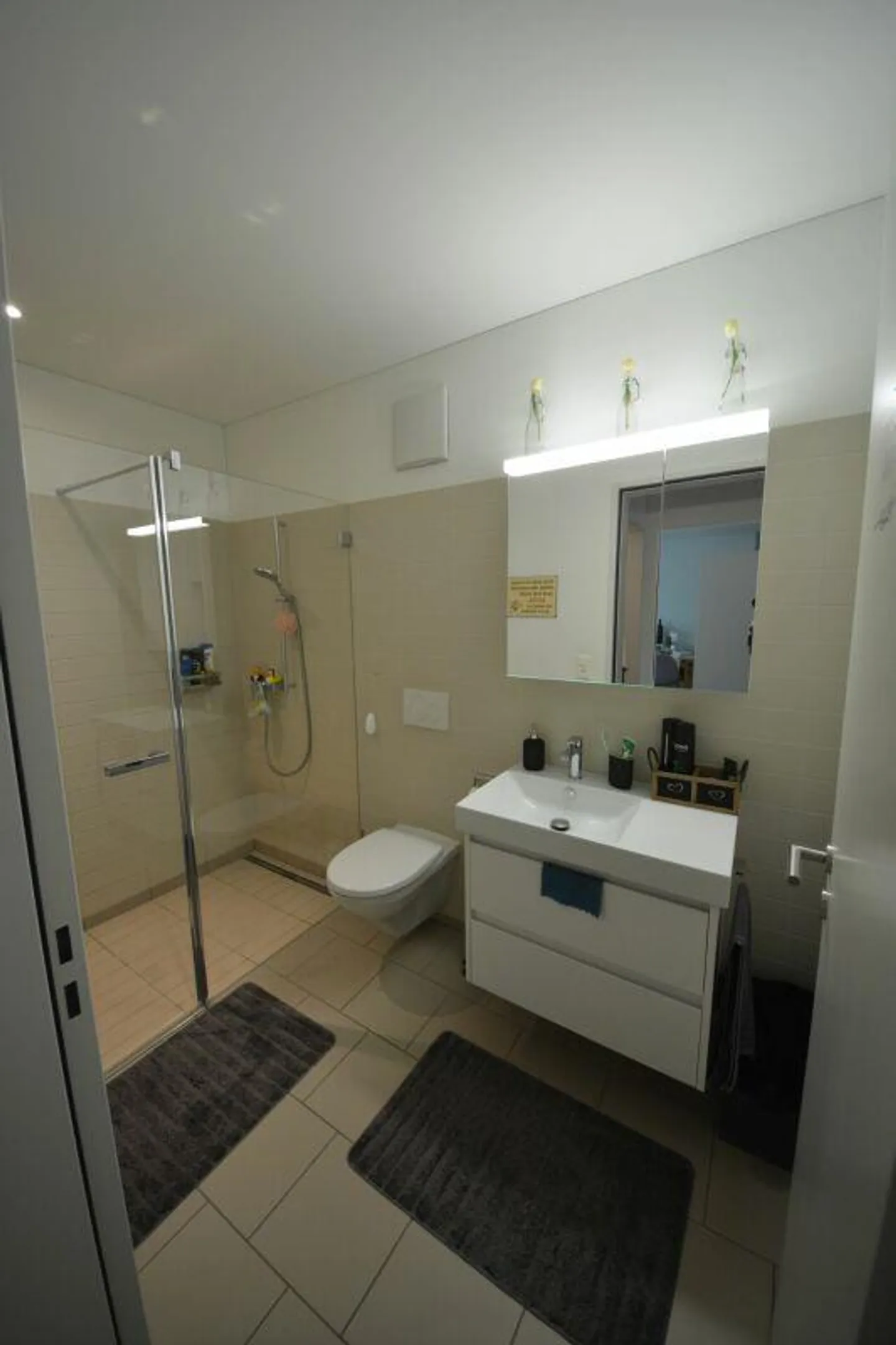 Appartamento moderno di 4,5 stanze in affitto in un quartiere adatto alle famiglie - Foto 10 di 14