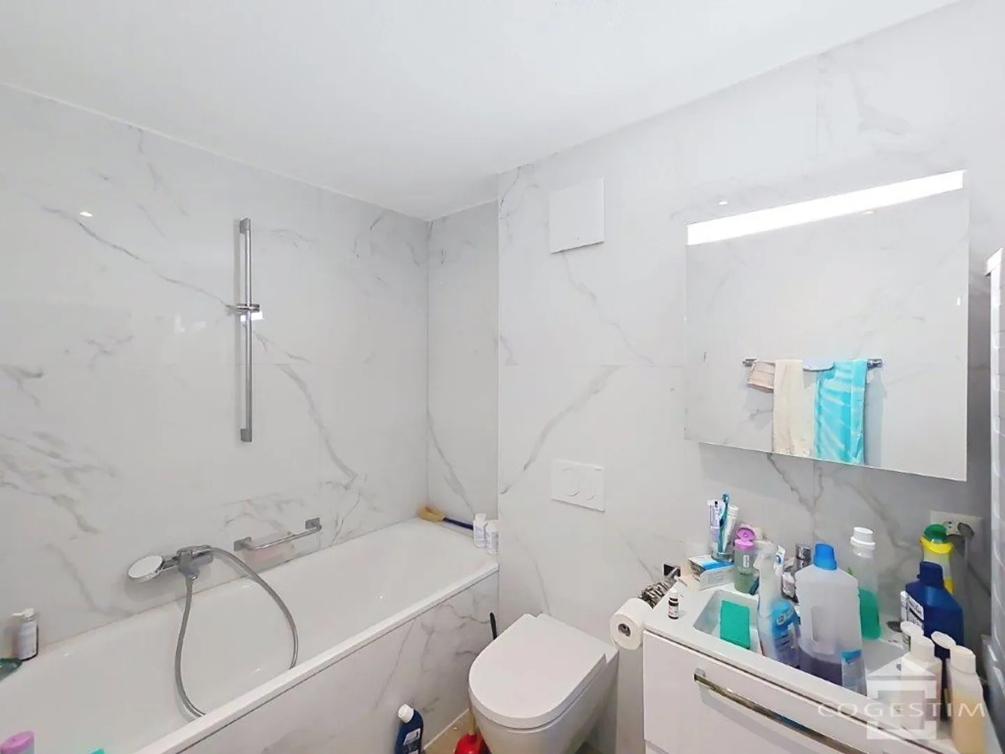 2.5 Room Apartment - Photo 5 of 5