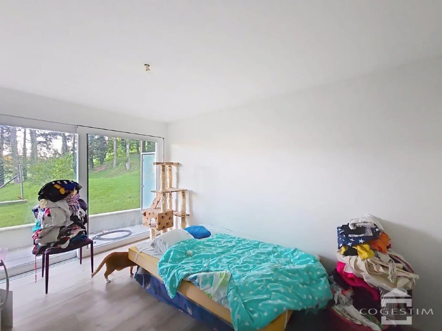 2.5 Room Apartment - Photo 4 of 5