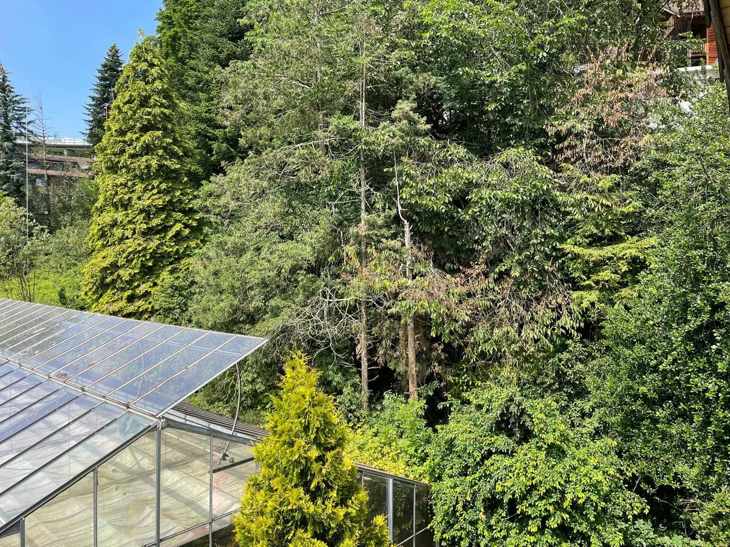 Charming 5.5-Room Semi-Detached House in Weggis with Lake View - Photo 17 of 18