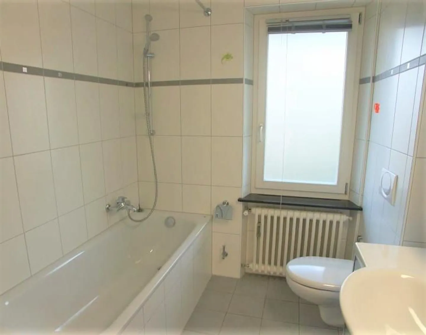 Vivere nel quartiere Altenburg | Vivere tra Lägern e Limmat - Foto 5 di 6