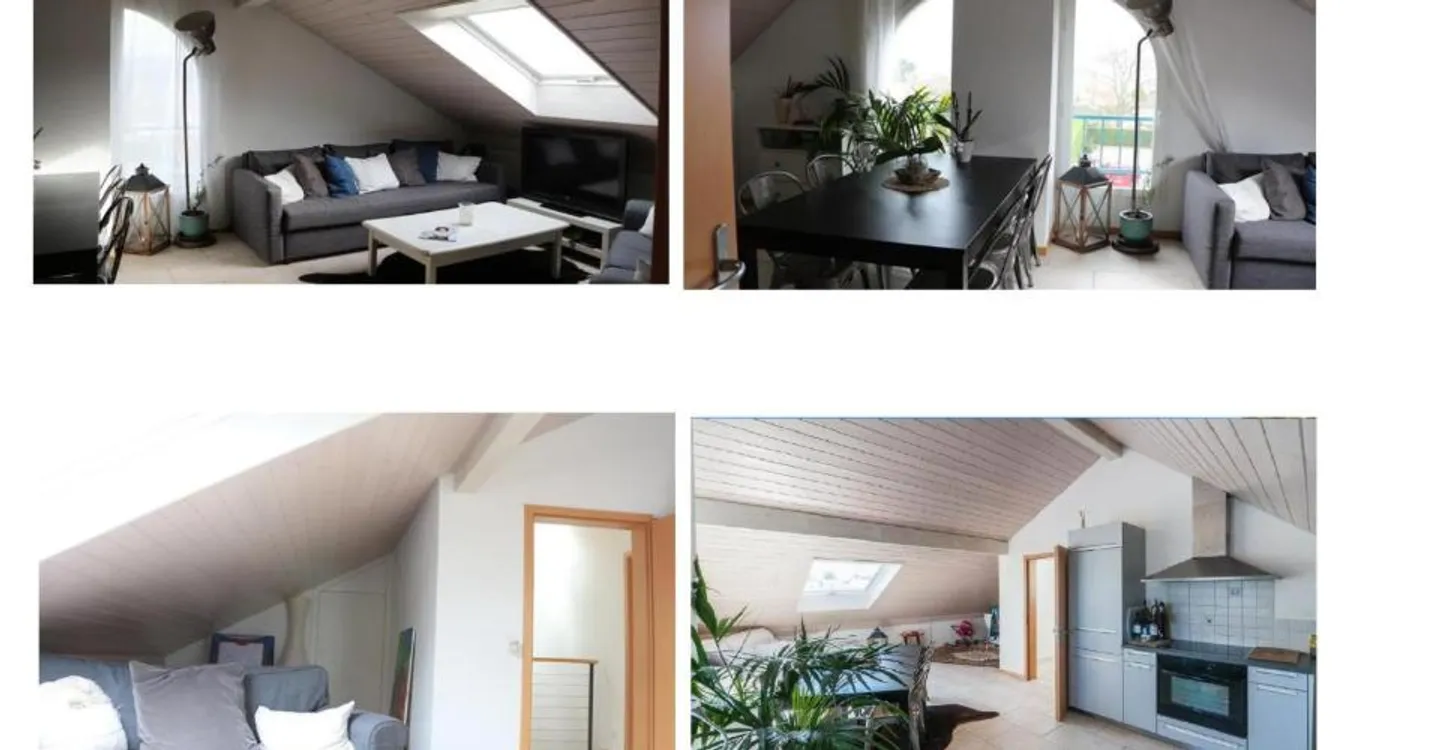 Charming Apartment in Villa - Photo 6 of 6