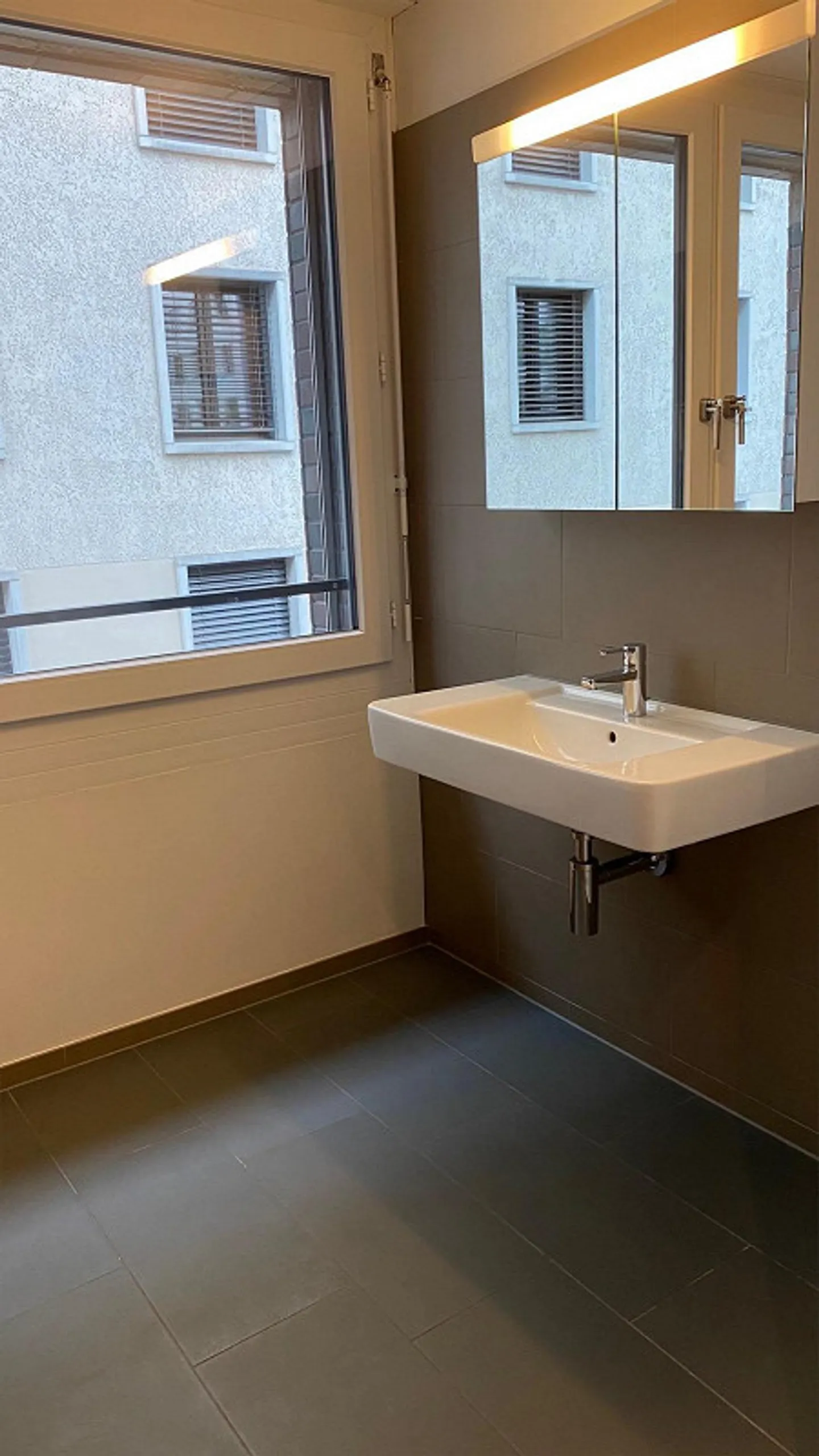 3.5 Room Apartment in Dietikon - Photo 5 of 9