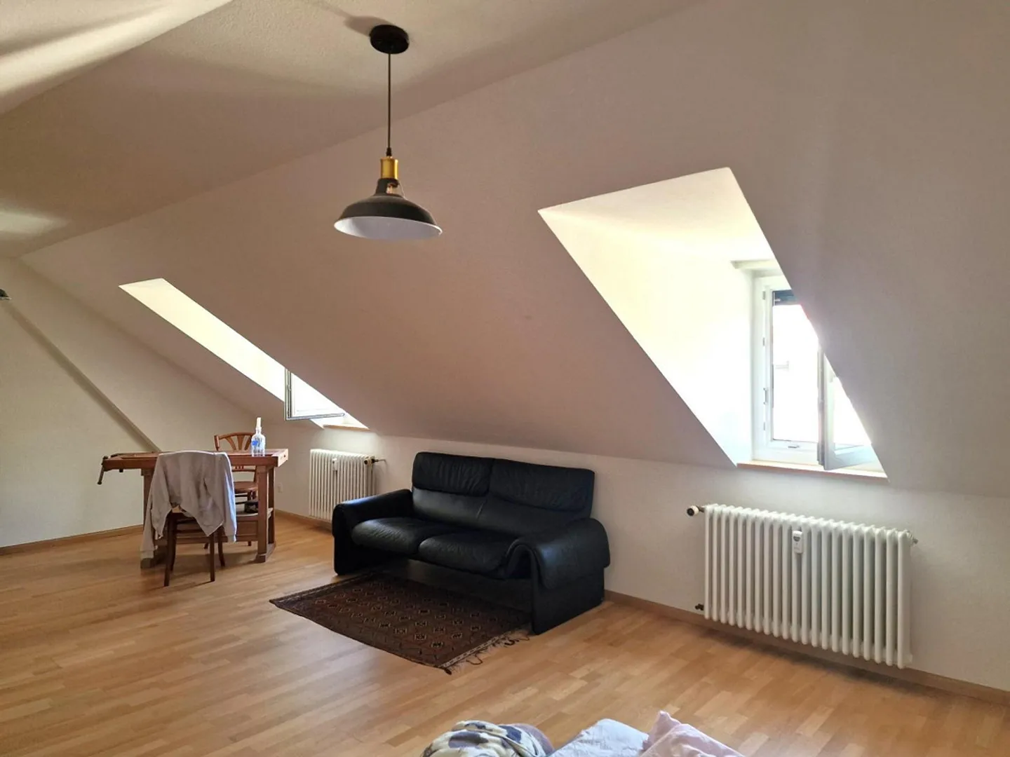 Appartement sous les combles 1,5 pièces près du parc Schützenmatt - Photo 2 sur 7