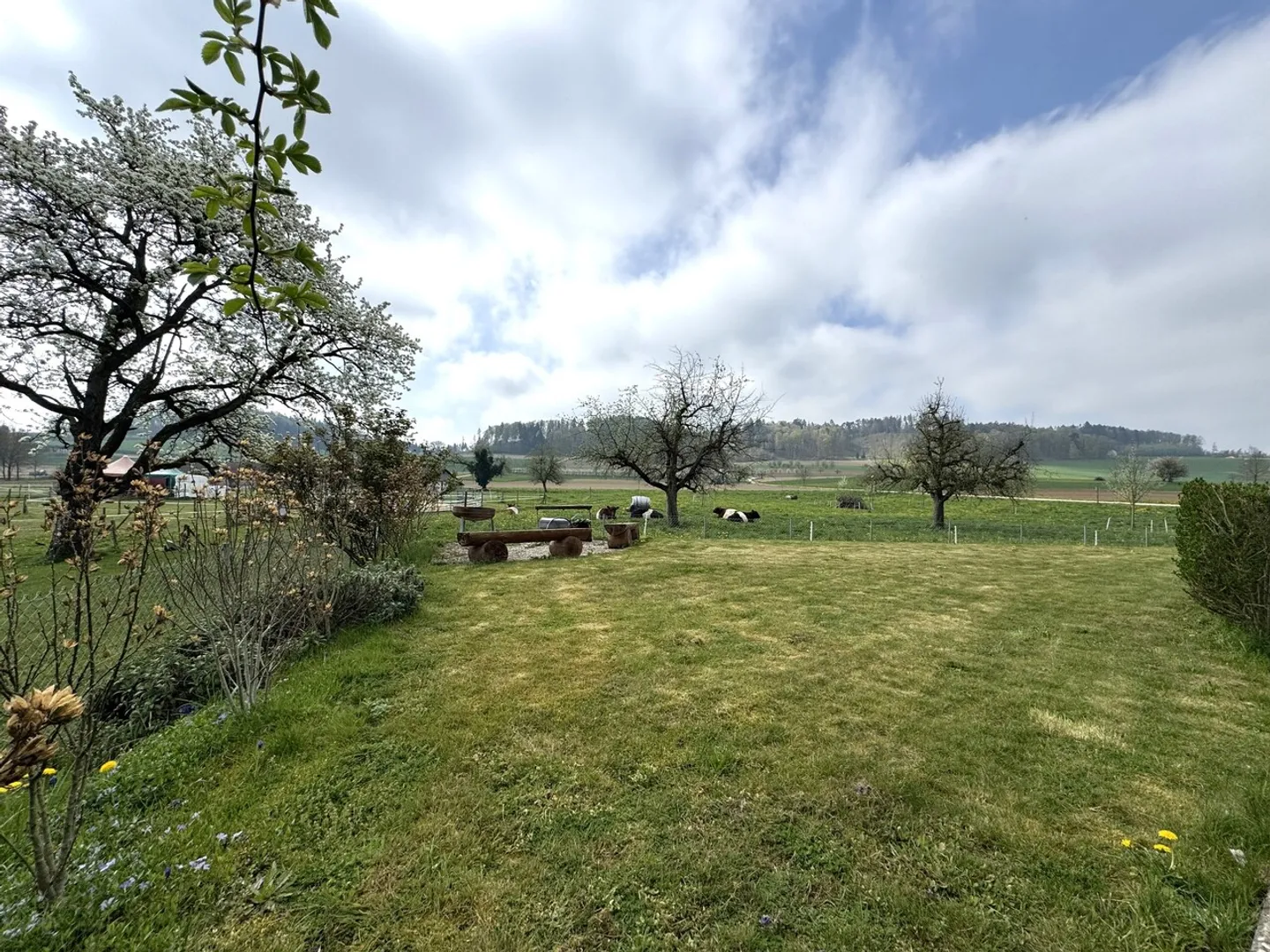 Appartamento giardino elegante e quasi nuovo - Foto 14 di 14