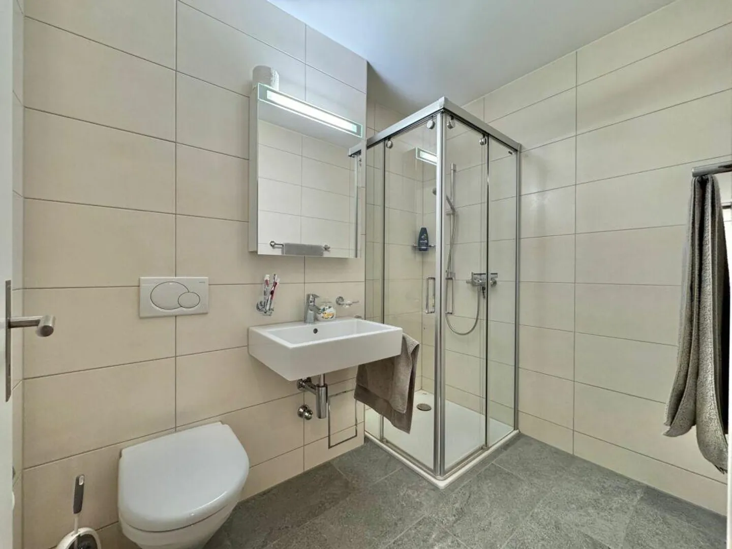 Frick / 4.5 Zimmer-Wohnung - Foto 9 von 10