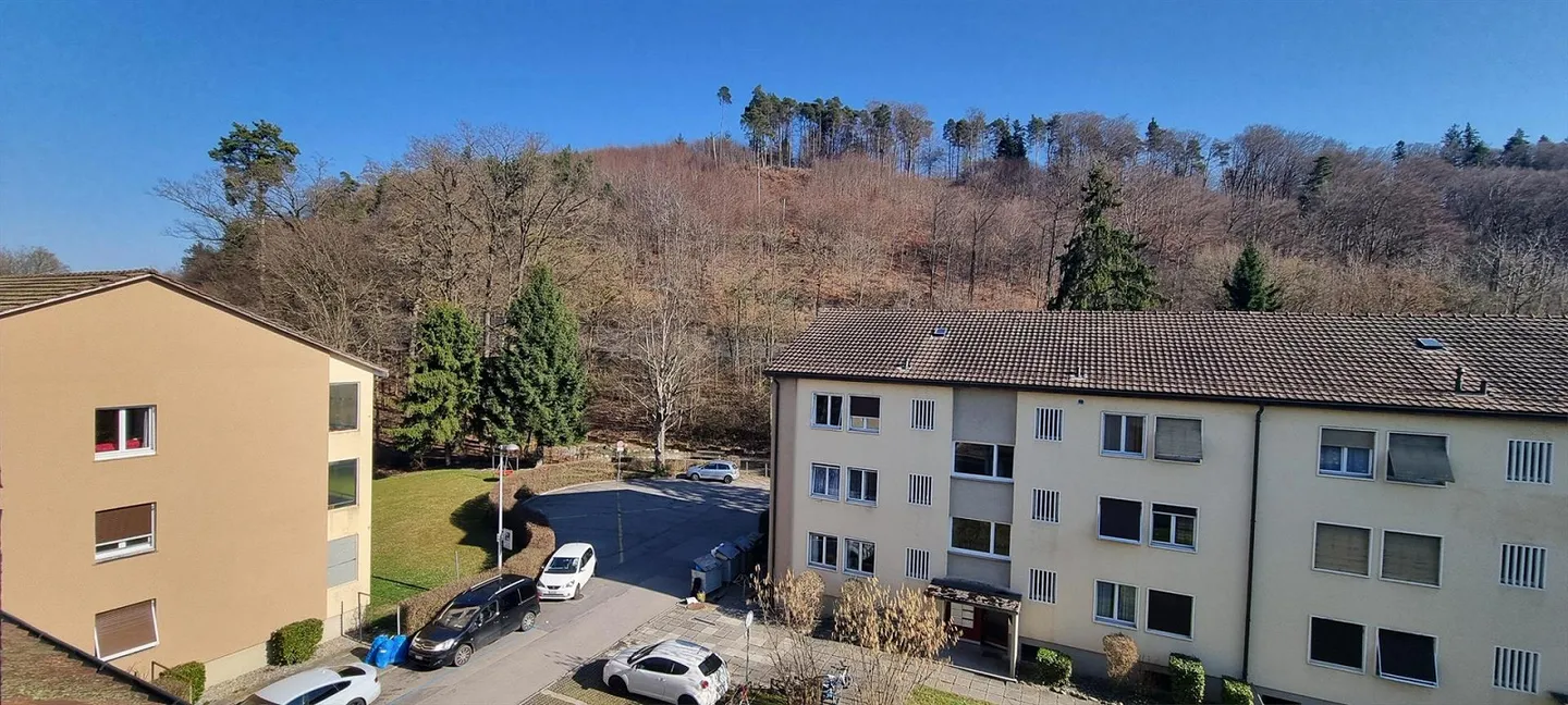 Geräumige 4.5 Zimmer Wohnung - Foto 10 von 10