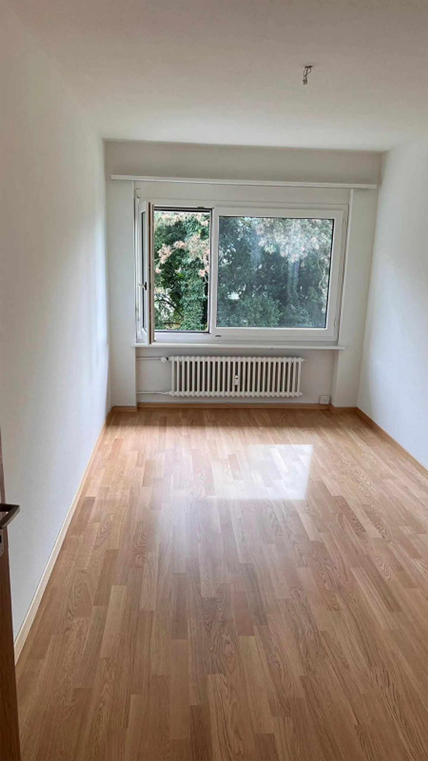Room in shared apartment in Lucerne in a 4-room apartment - Photo 2 of 6