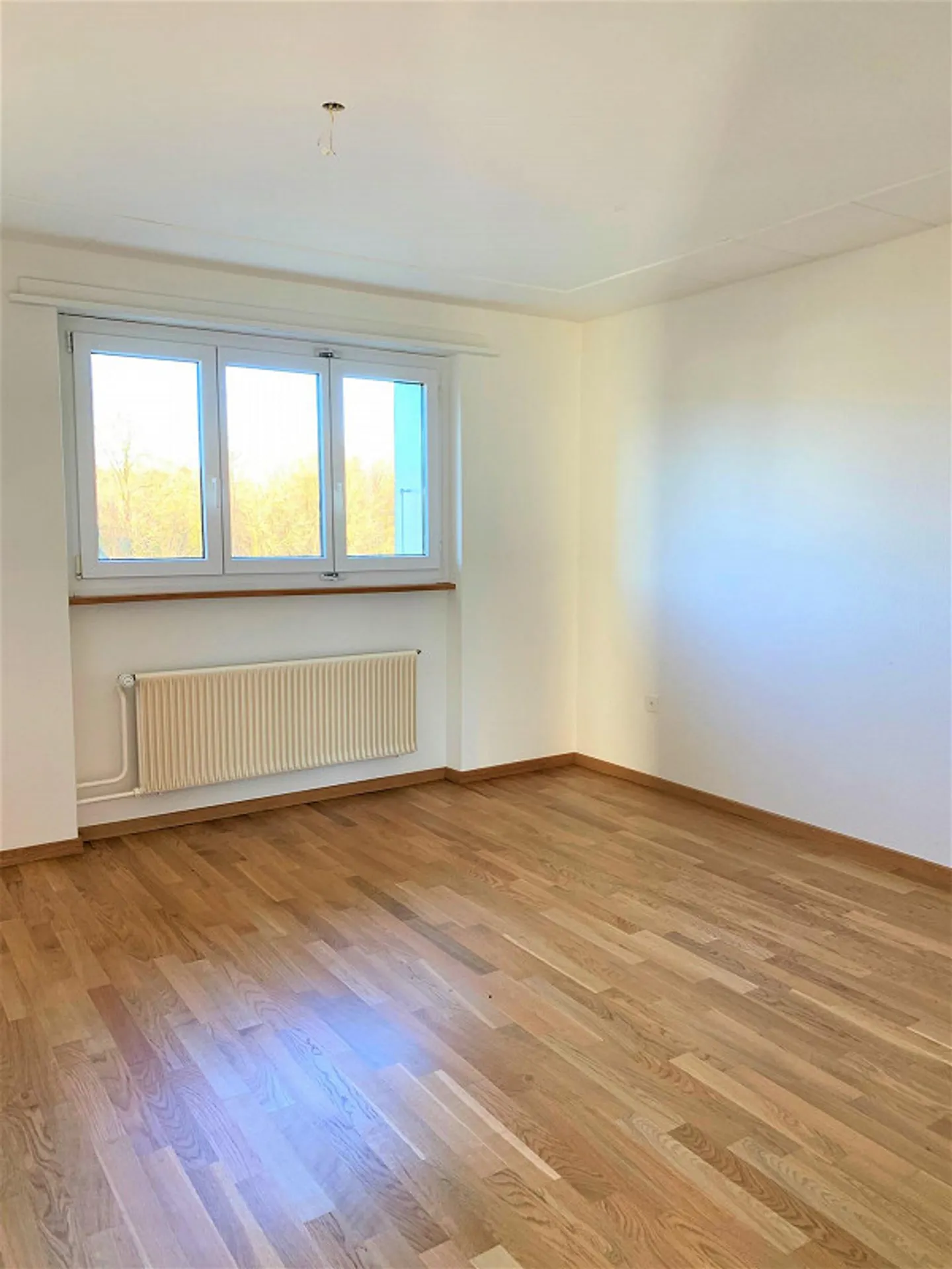 Vivere con stile: Oasi soleggiata di benessere nel cuore di Gerlafingen - Foto 4 di 11