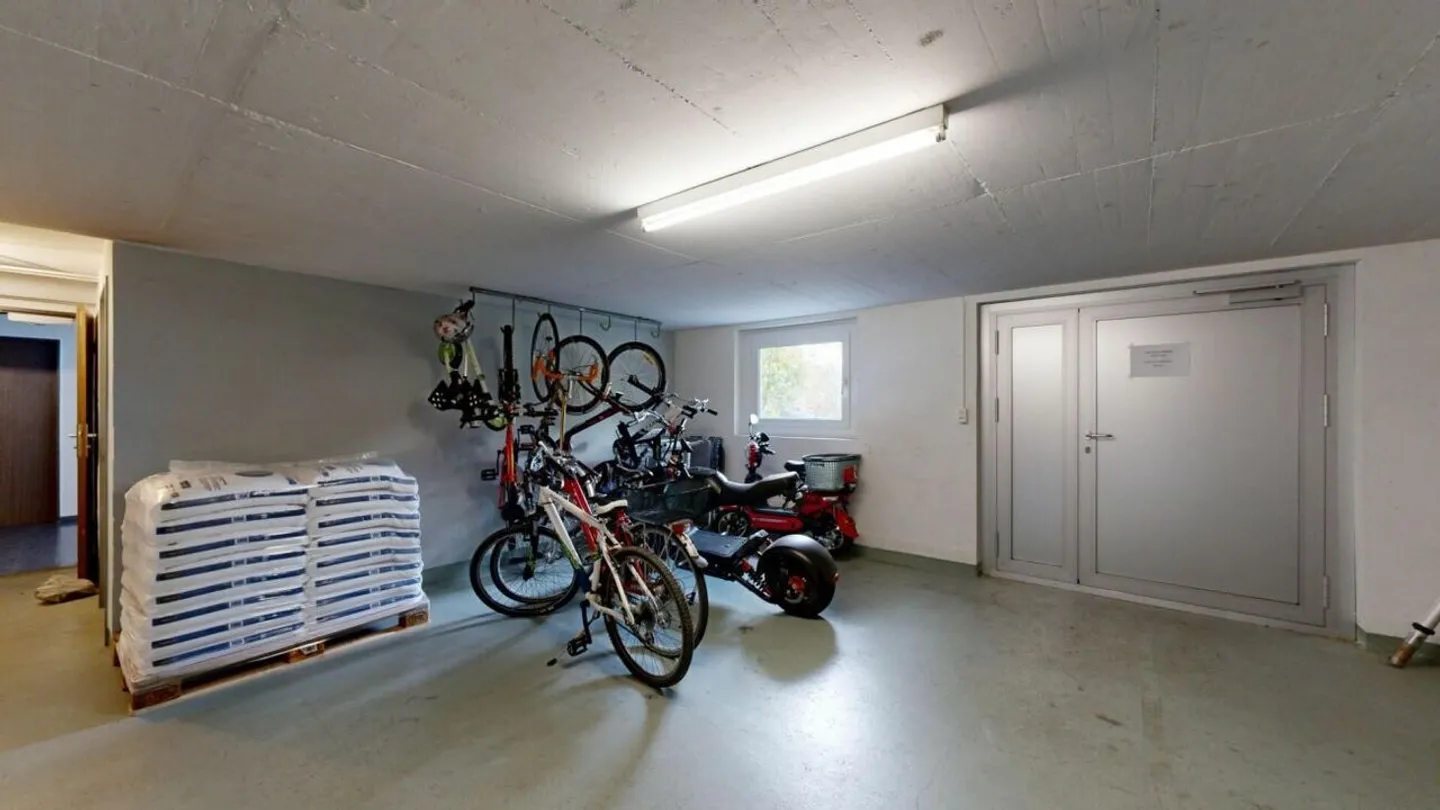 Modernized 5.5-room apartment in a green location - ready for immediate occupancy - Photo 15 of 15