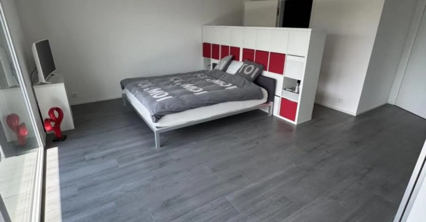Luxe, espace et sérénité face au Moléson - Foto 5 di 12