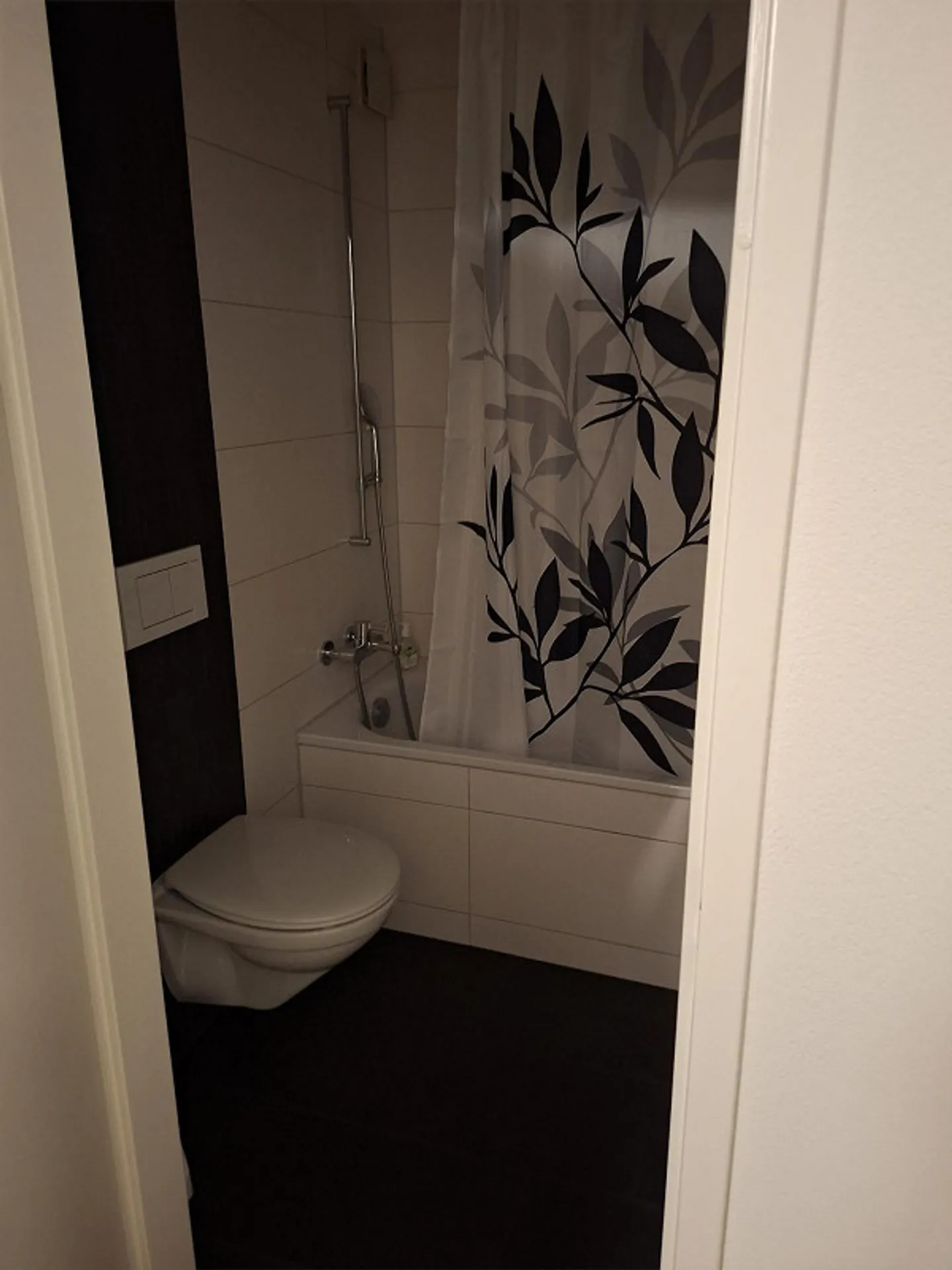 3.5 Room Apartment - Photo 3 of 10