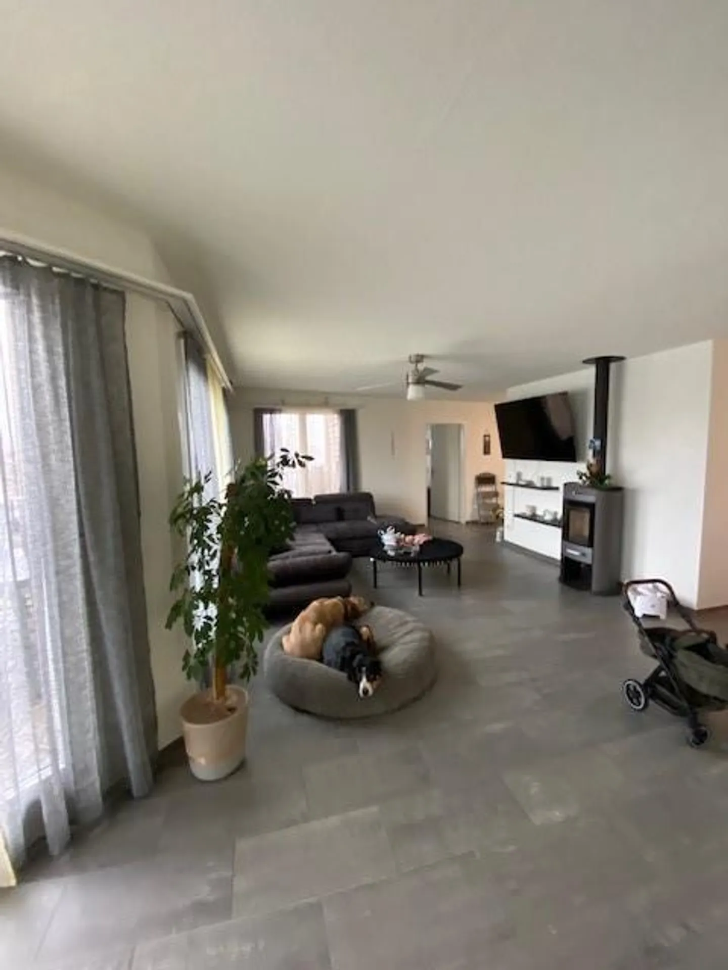 Bell'appartamento attico con pianta individuale in affitto - Foto 1 di 8