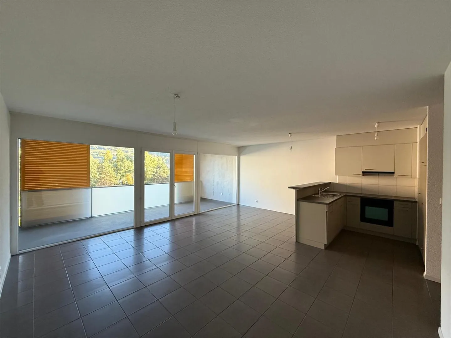 Appartamento 4.5 stanze - Foto 3 di 13