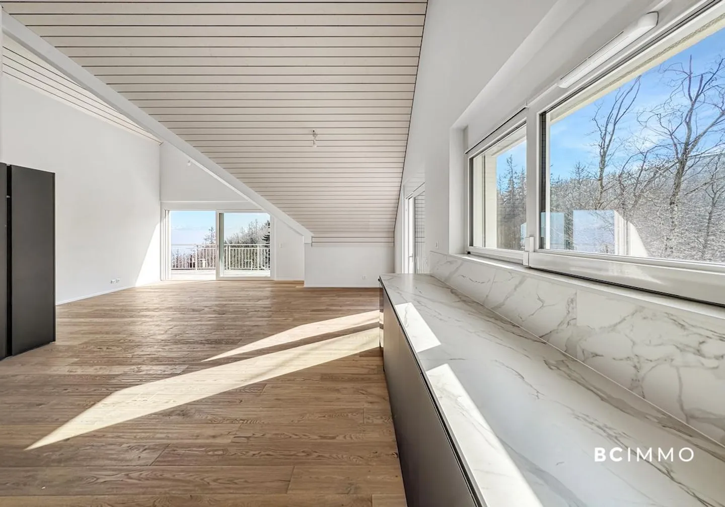 Wunderschöne neue Penthousewohnung im Zentrum von Saint-Cergue - Foto 4 von 13