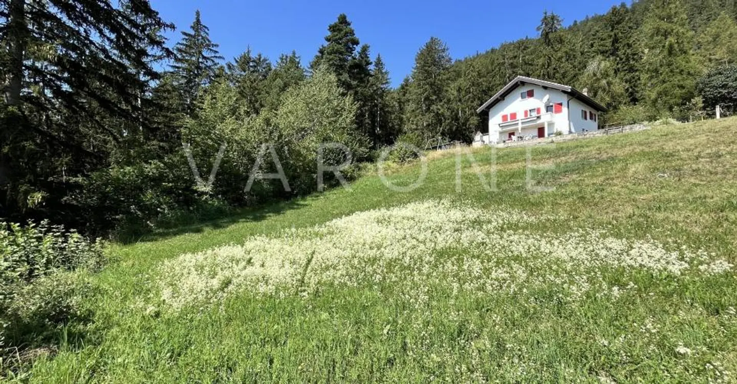 Beau terrain à Savièse - Photo 5 sur 8