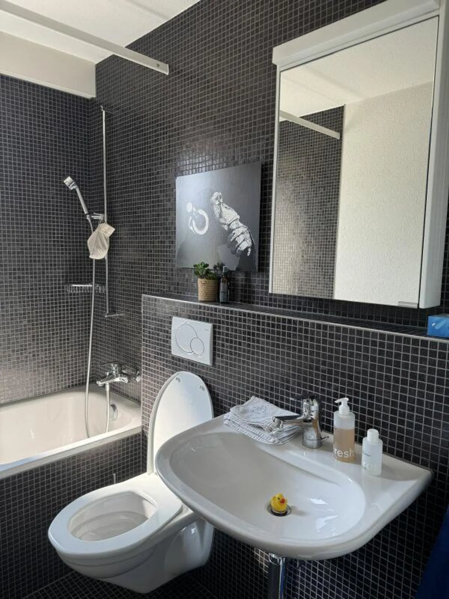 Light-flooded 4.5-room apartment in a central location in Ebikon - Photo 7 of 8