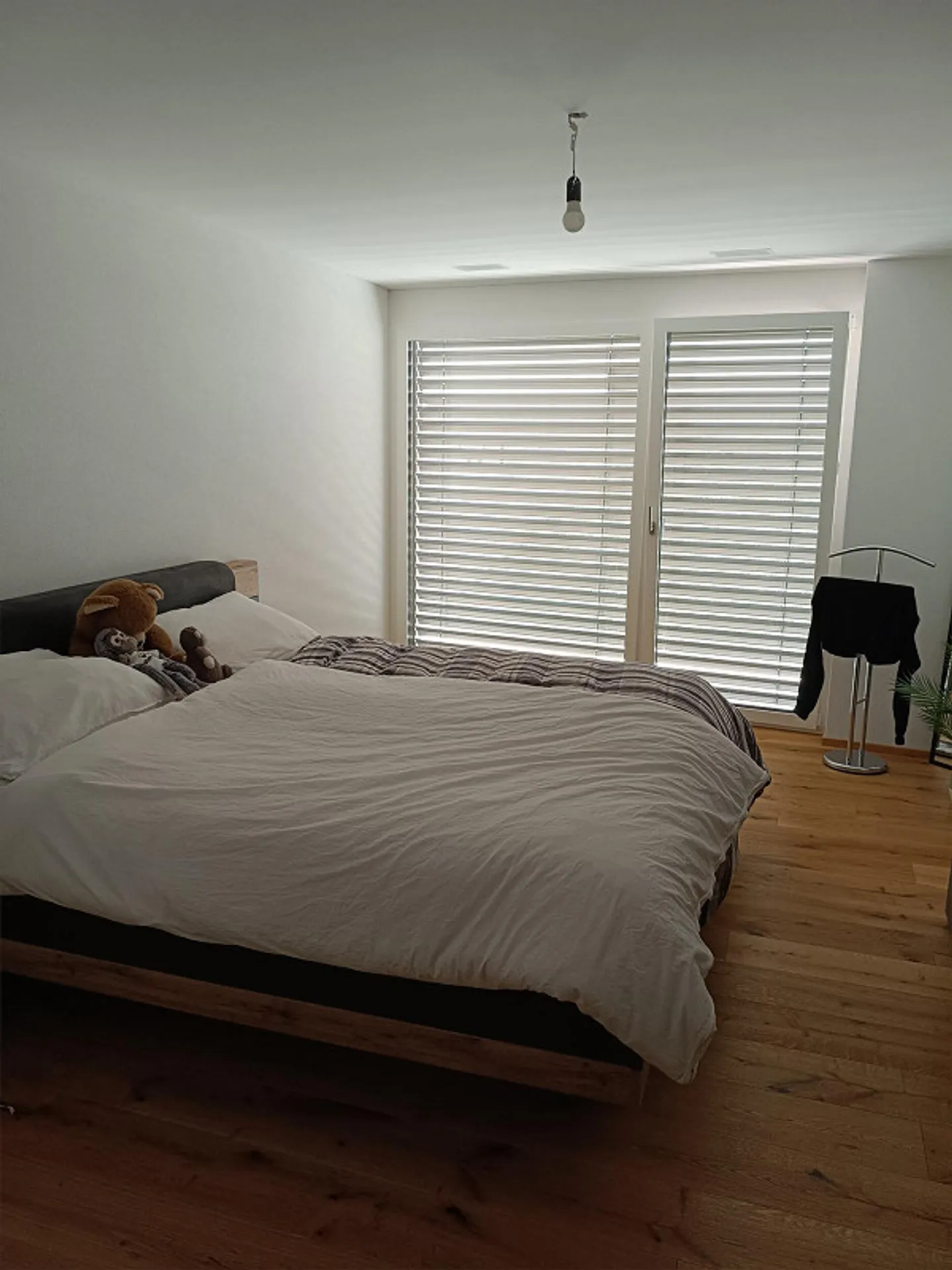 Ampio appartamento di 4,5 stanze a Pfäffikon SZ con vista lago - Foto 2 di 11