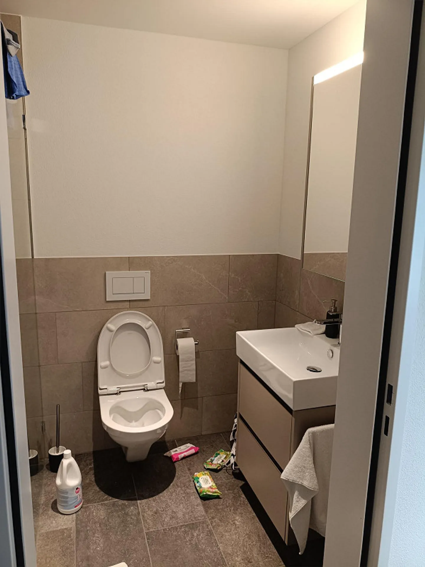 Ampio appartamento di 4,5 stanze a Pfäffikon SZ con vista lago - Foto 6 di 11