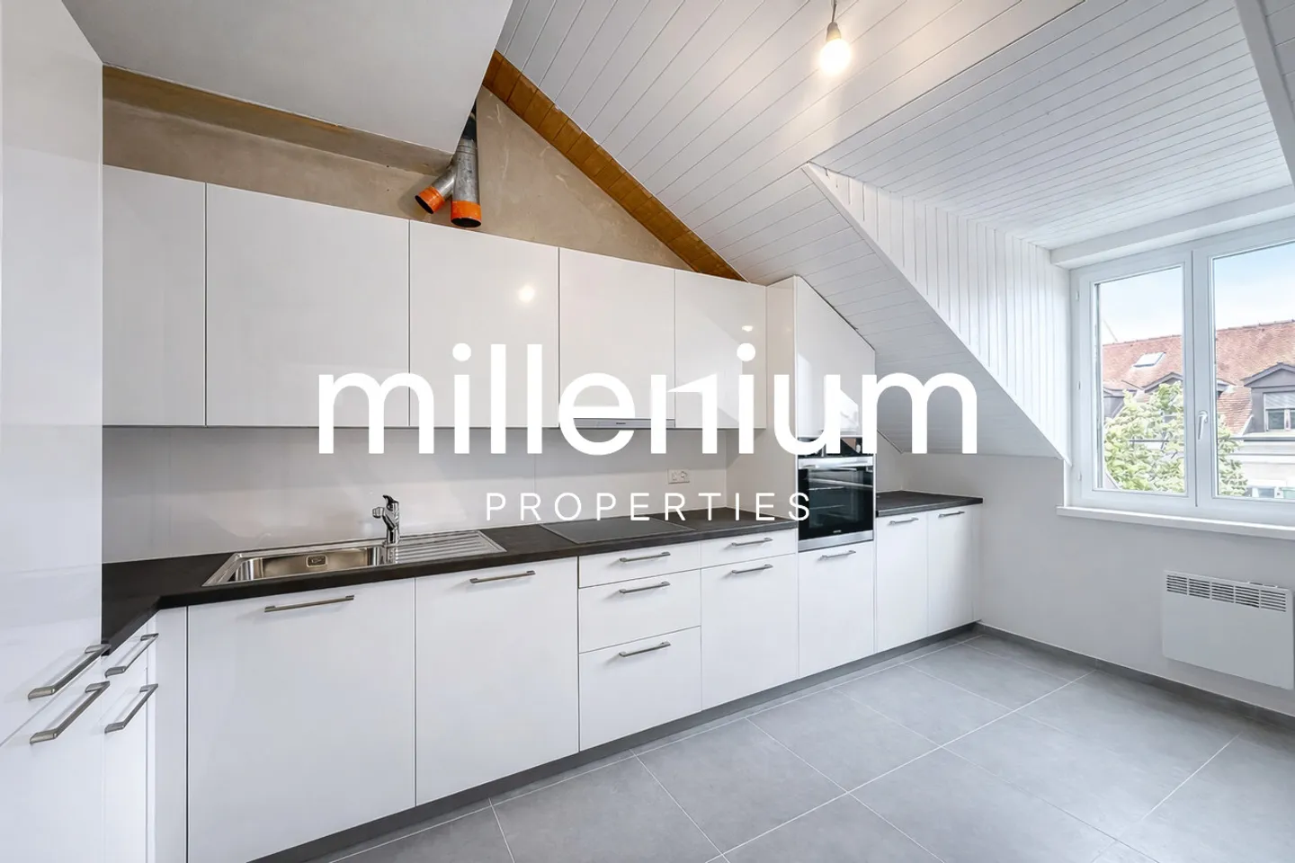Außergewöhnliches Renoviertes 6-Zimmer-Duplex-Penthouse im Herzen von Carouge - Foto 3 von 12