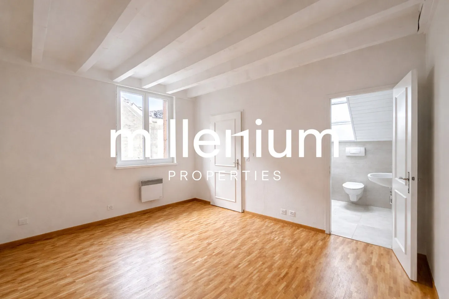 Außergewöhnliches Renoviertes 6-Zimmer-Duplex-Penthouse im Herzen von Carouge - Foto 10 von 12