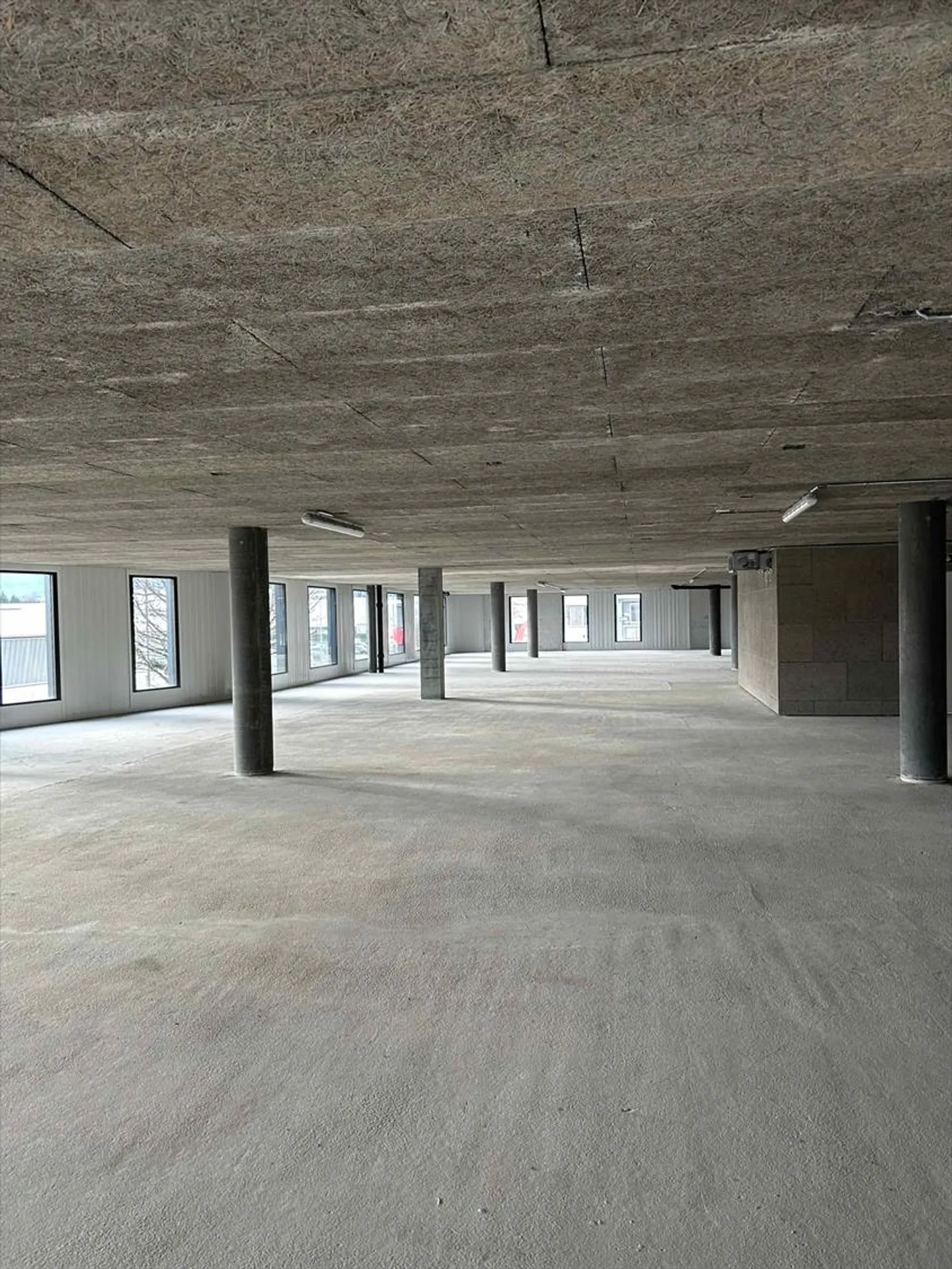 Area Mista in Affitto in un Nuovo Sviluppo Immobiliare - Foto 3 di 5