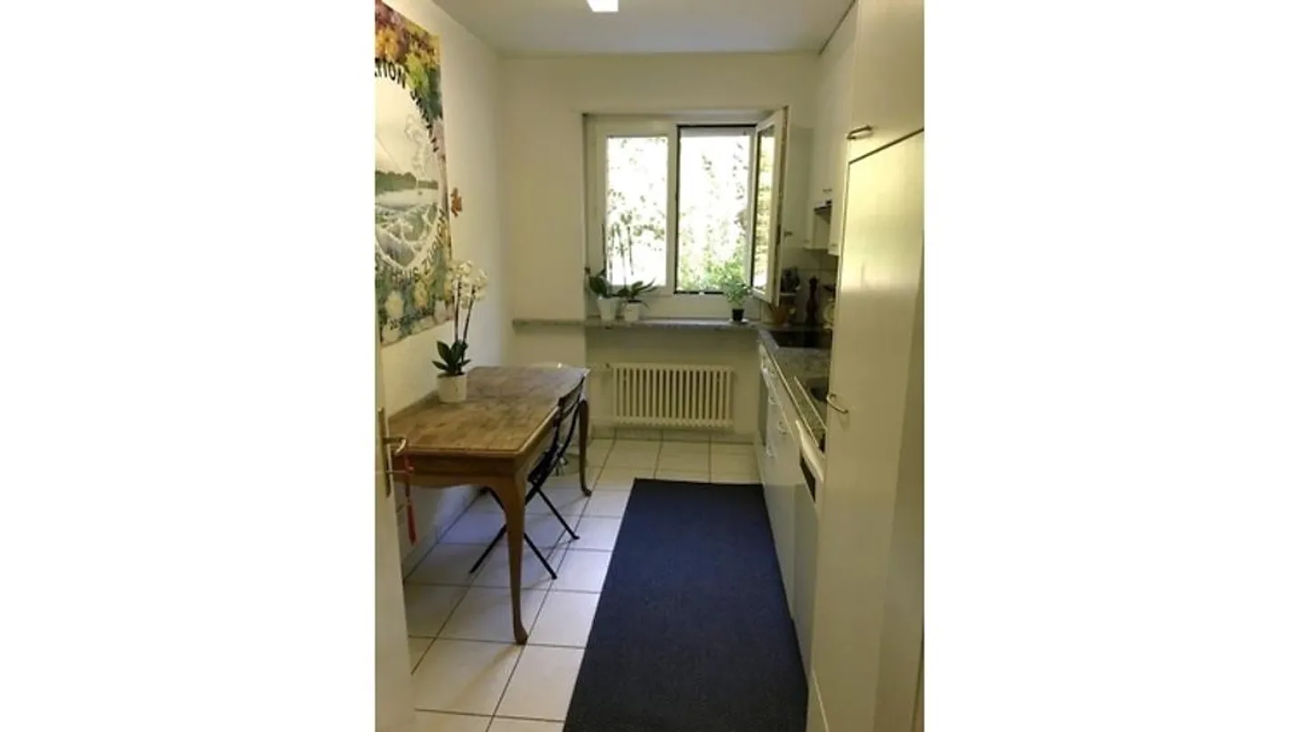 SOLO UNA PERSONA 2.5 STANZE APPARTAMENTO A ZURIGO - DISTRETTO 11 AFFOLTERN, ARREDATO... - Foto 4 di 10