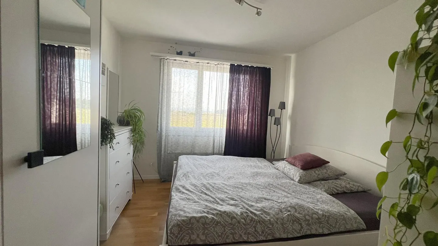 Casa 4½ locali modernizzata con grande giardino - Foto 7 di 13