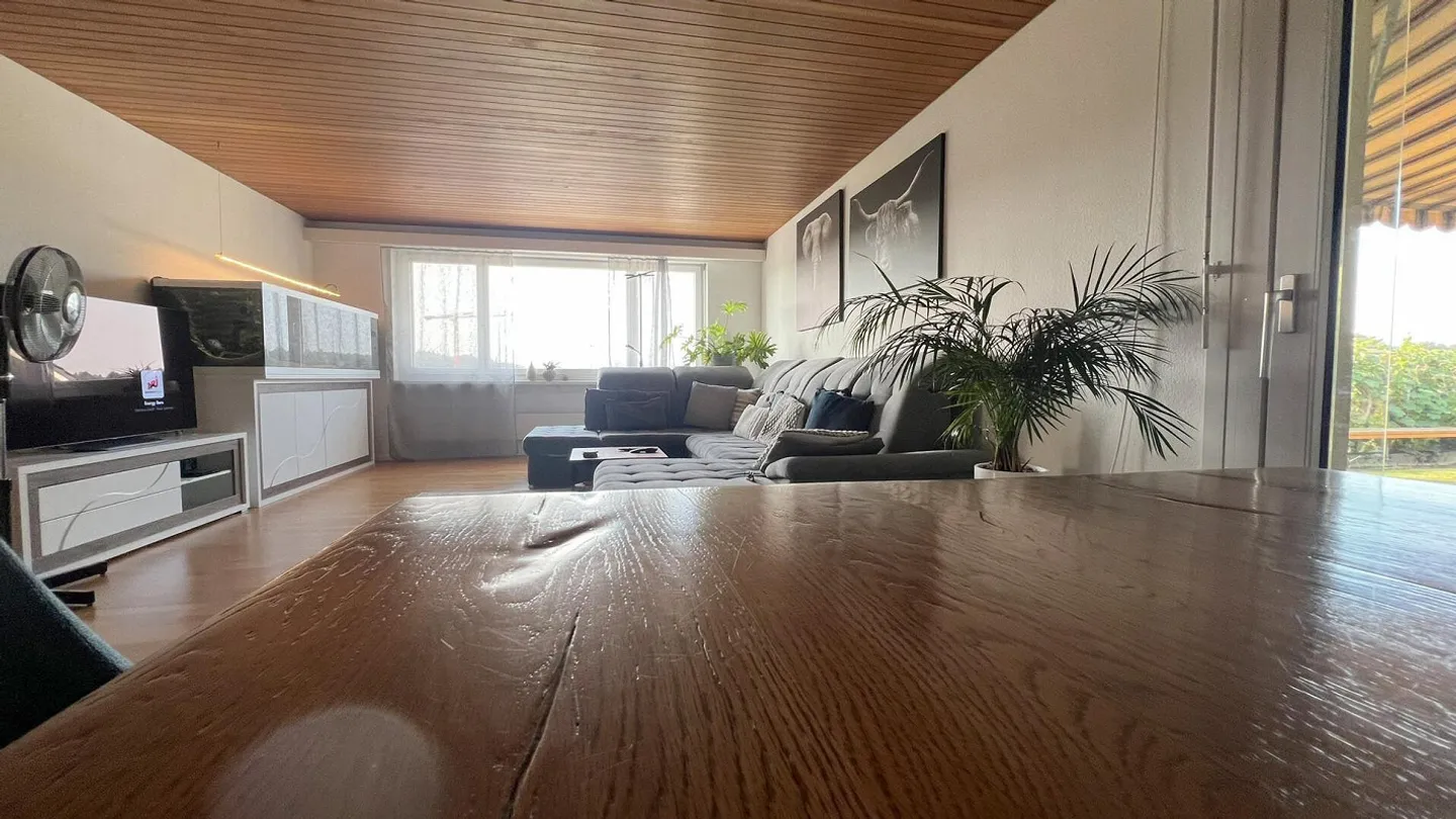 Casa 4½ locali modernizzata con grande giardino - Foto 6 di 13