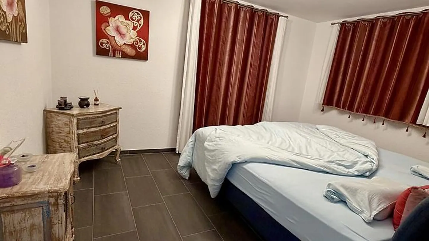 5½ ROOM HOUSE IN WETZIKON (ZH), FURNISHED, TEMPORARY - Photo 6 of 10