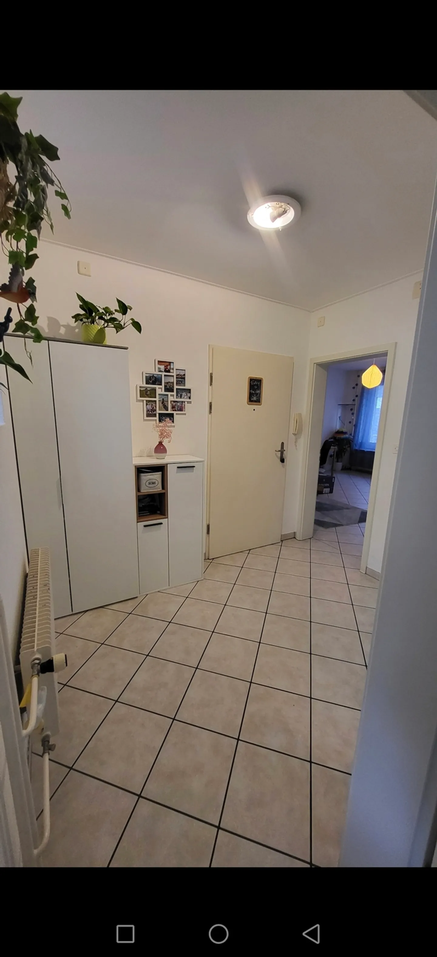 Appartamento in affitto - Foto 4 di 7