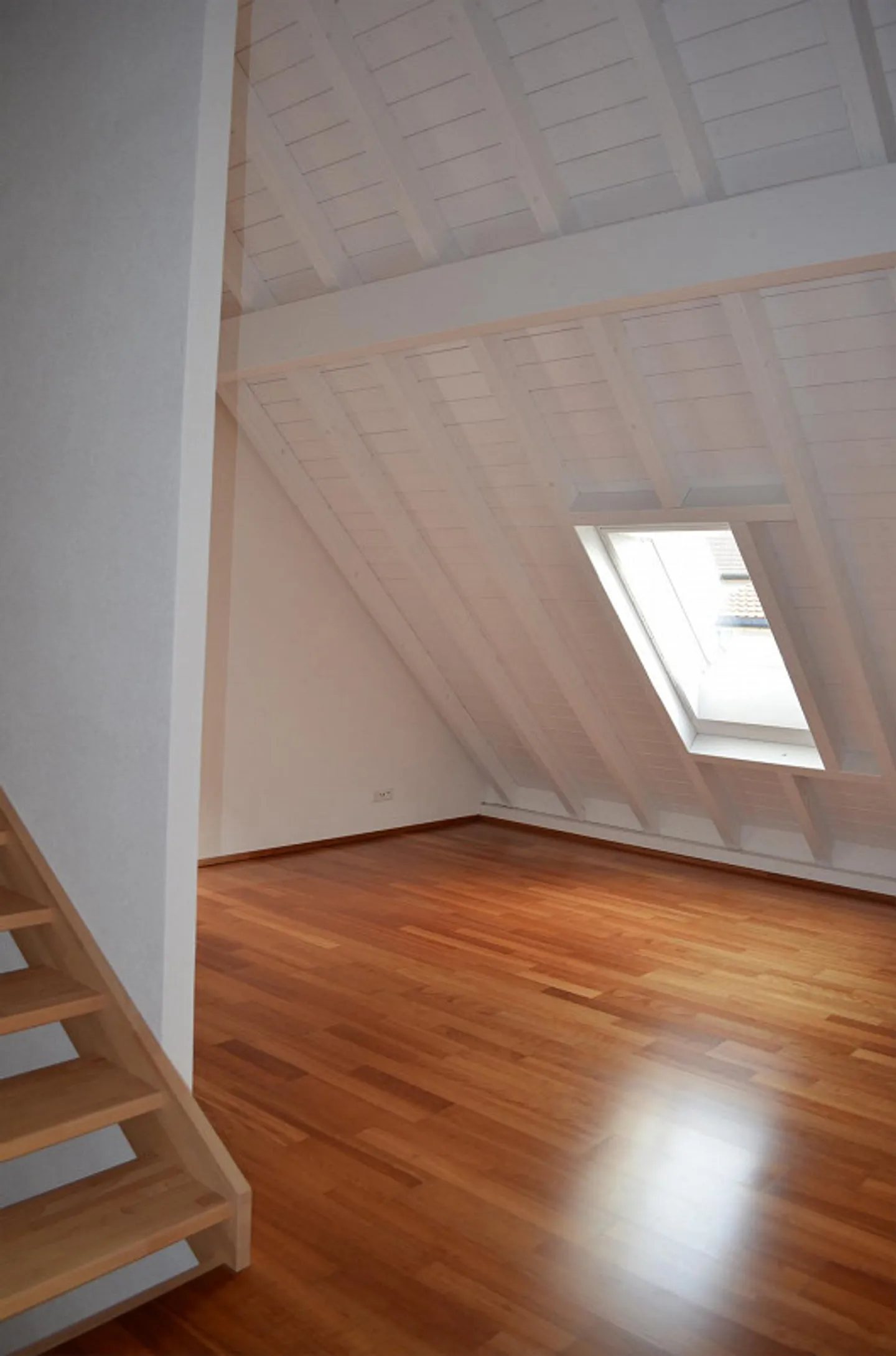 Ampia casa unifamiliare di 6,5 stanze con appartamento separato di 1,5 stanze - Foto 9 di 12