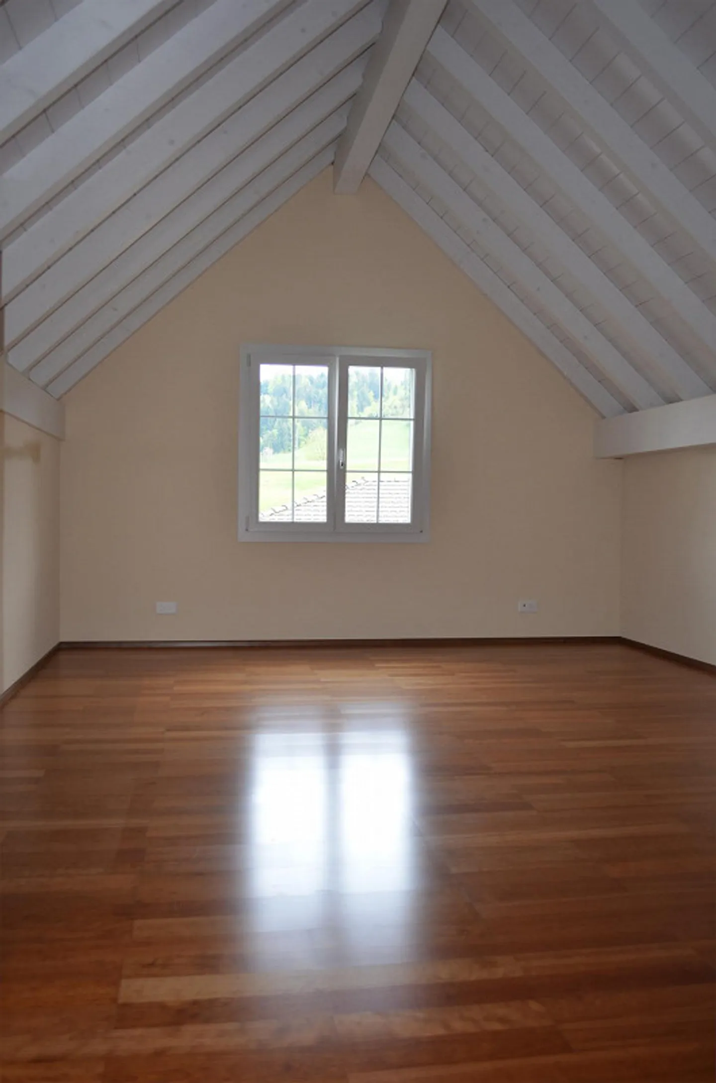 Ampia casa unifamiliare di 6,5 stanze con appartamento separato di 1,5 stanze - Foto 11 di 12