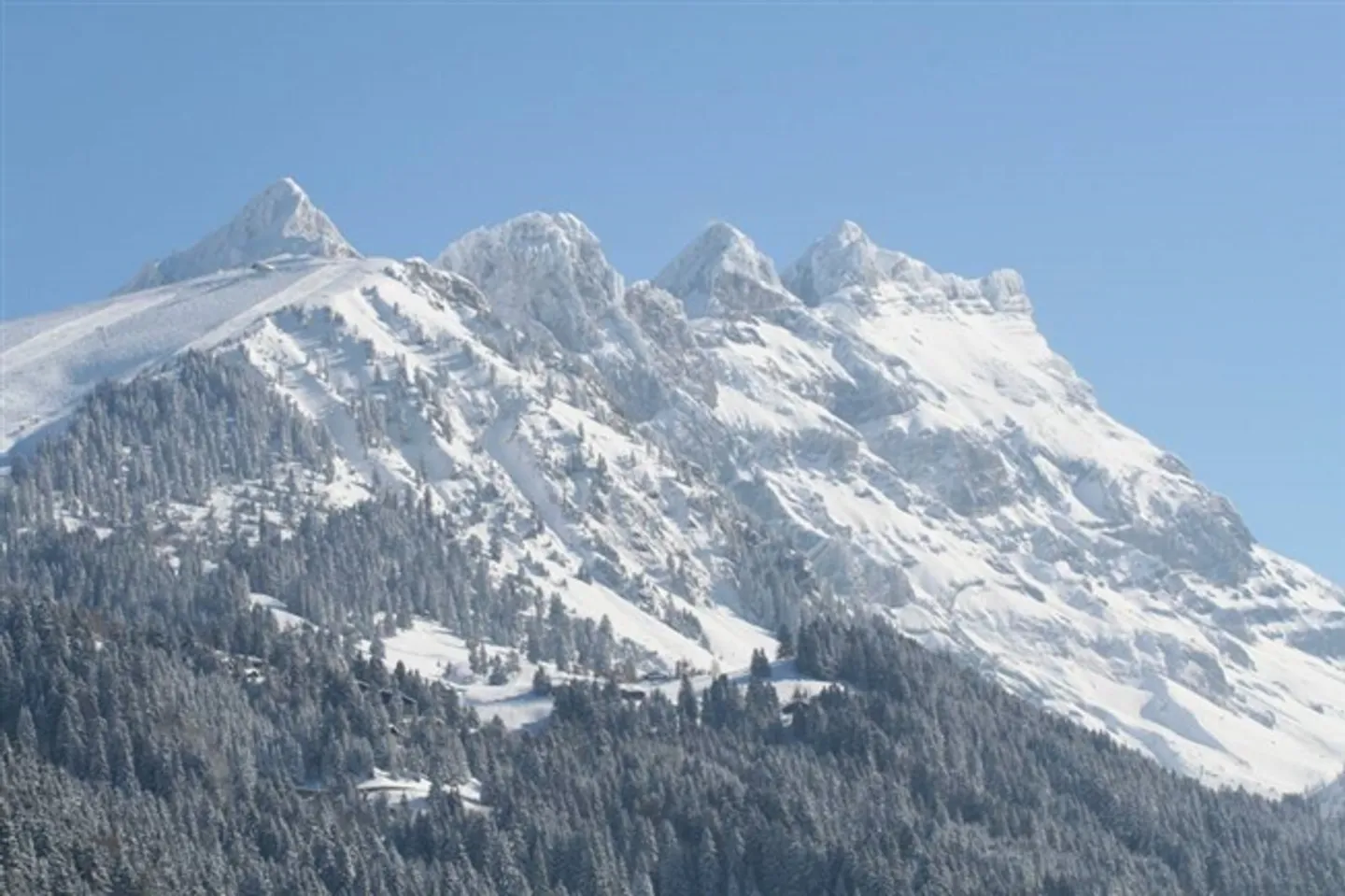 Terreni edificabili con vista panoramica a Gryon - Foto 3 di 4