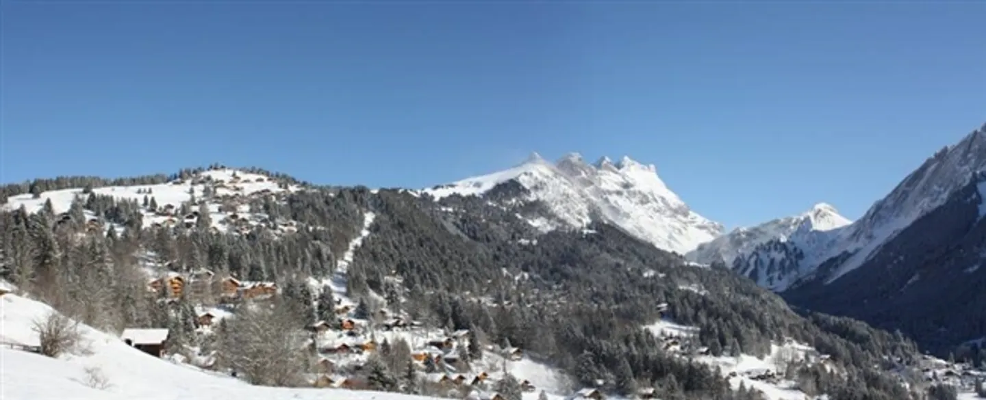 Terreni edificabili con vista panoramica a Gryon - Foto 4 di 4